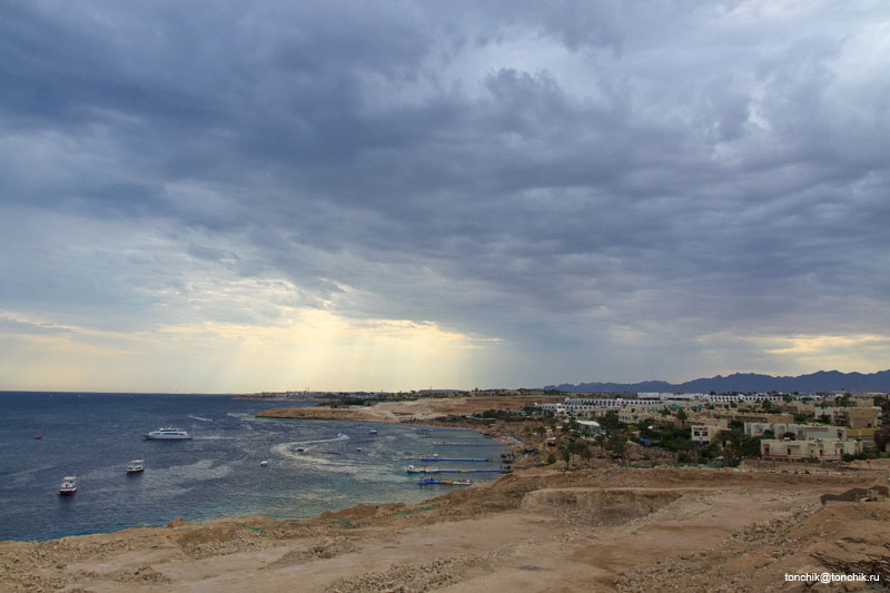 Sharm Savita