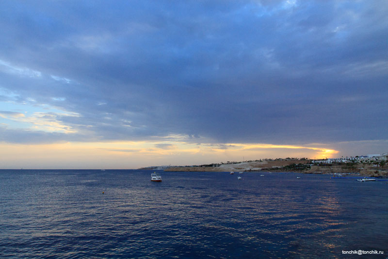 Sharm Savita