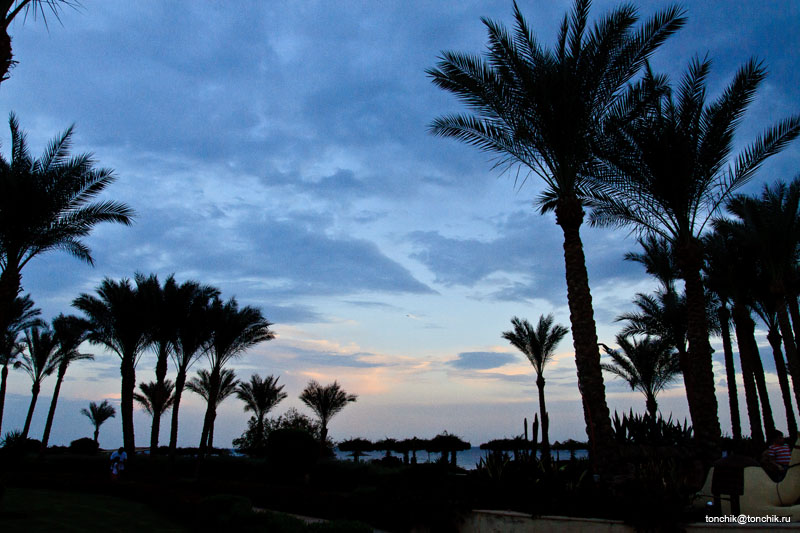 Sharm Savita