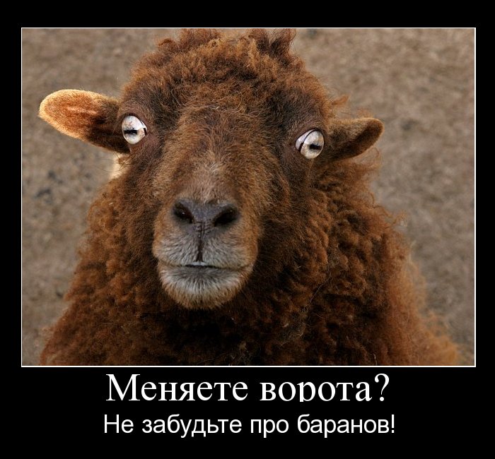 Меняете ворота? Не забудьте про баранов!